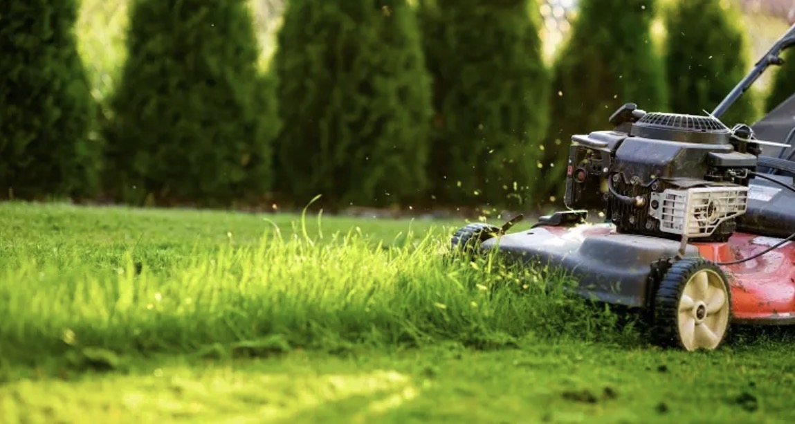 Lawn mower cutting a healthy green lawn with neatly trimmed hedges in the background